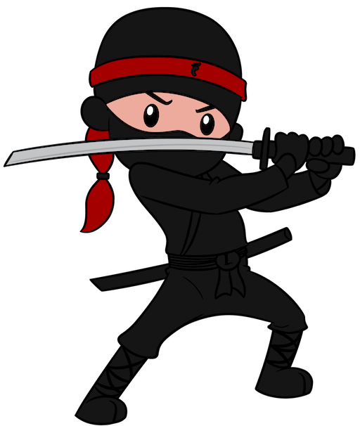 Ninja_Protection